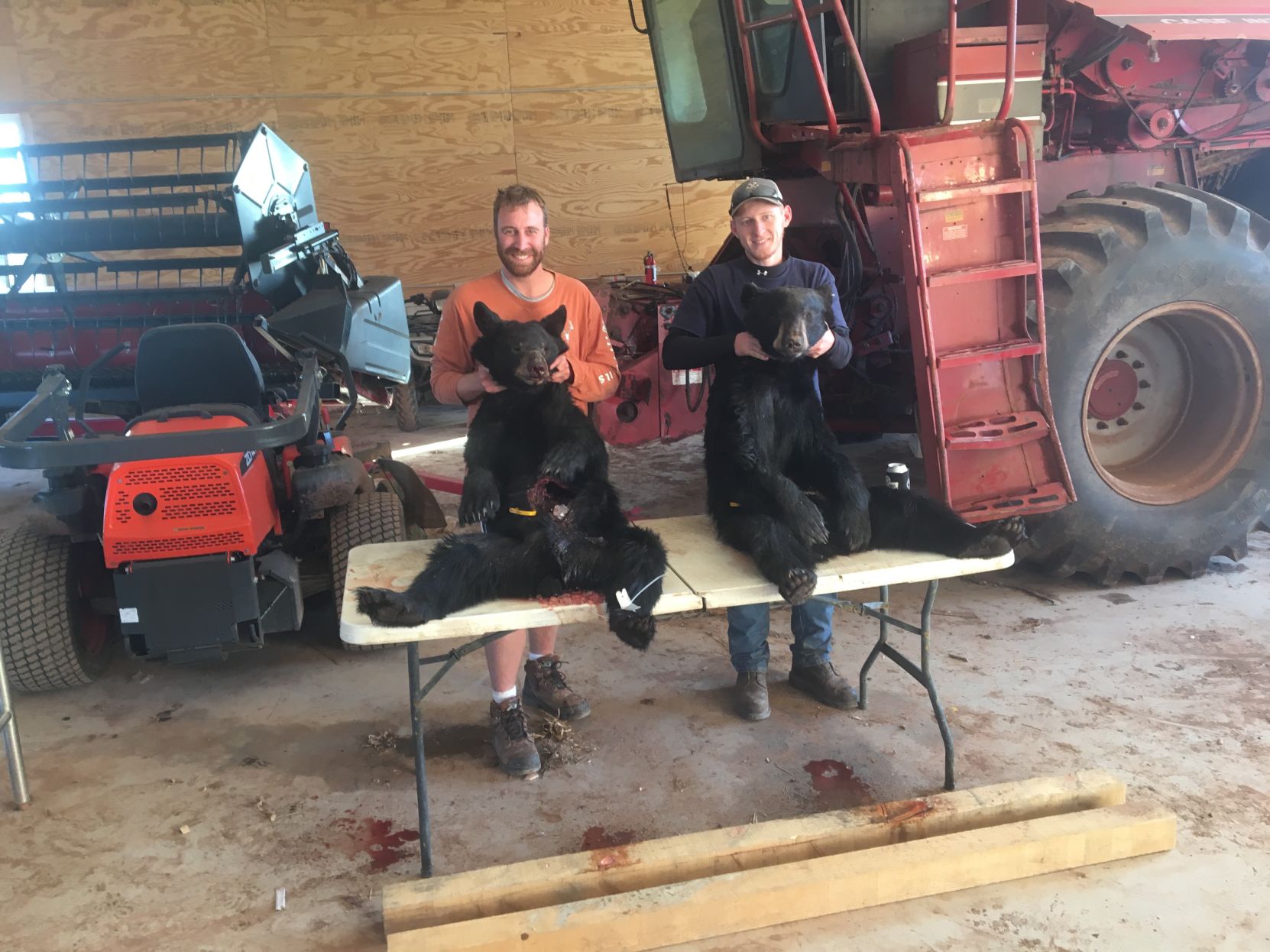 Maryland Bear Hunt 2018